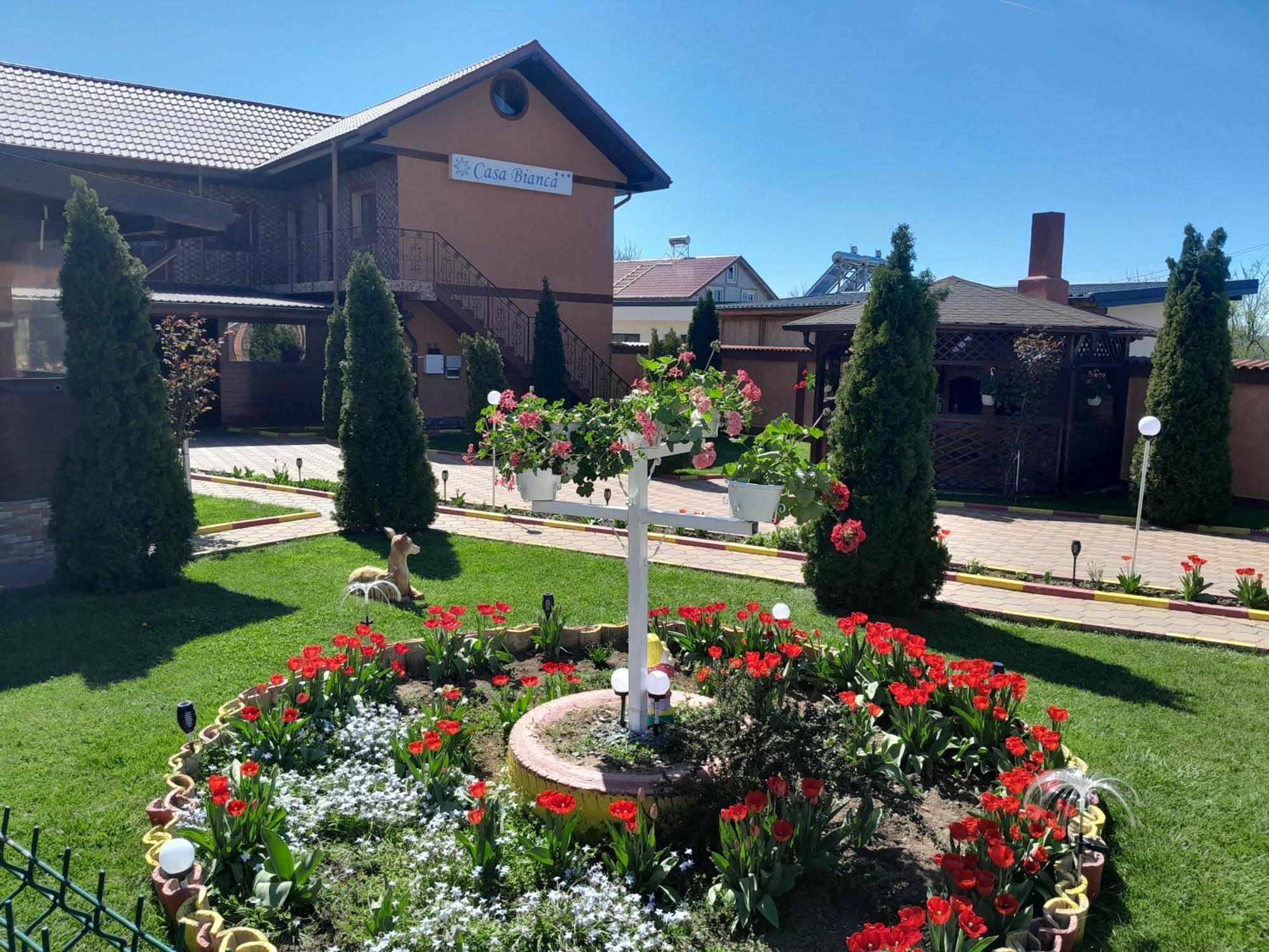 Pensiunea Bianca Otel Corbu  Dış mekan fotoğraf