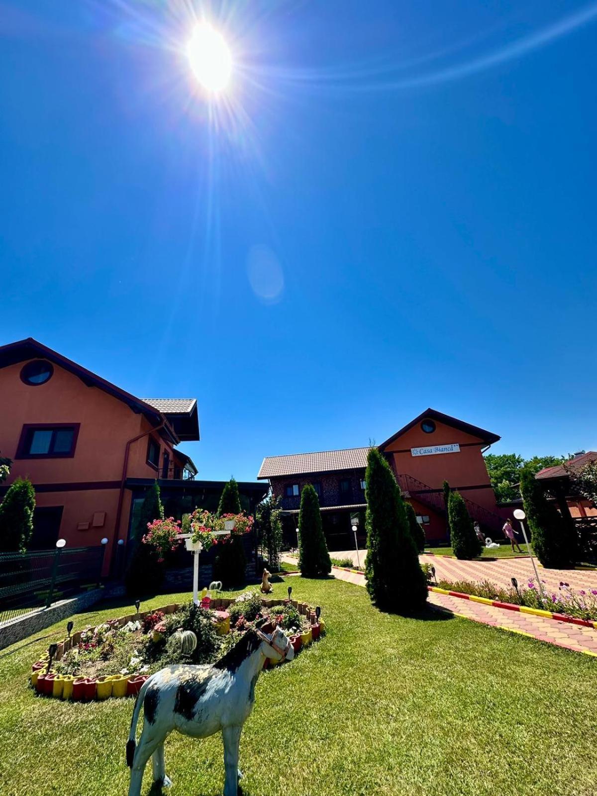 Pensiunea Bianca Otel Corbu  Dış mekan fotoğraf