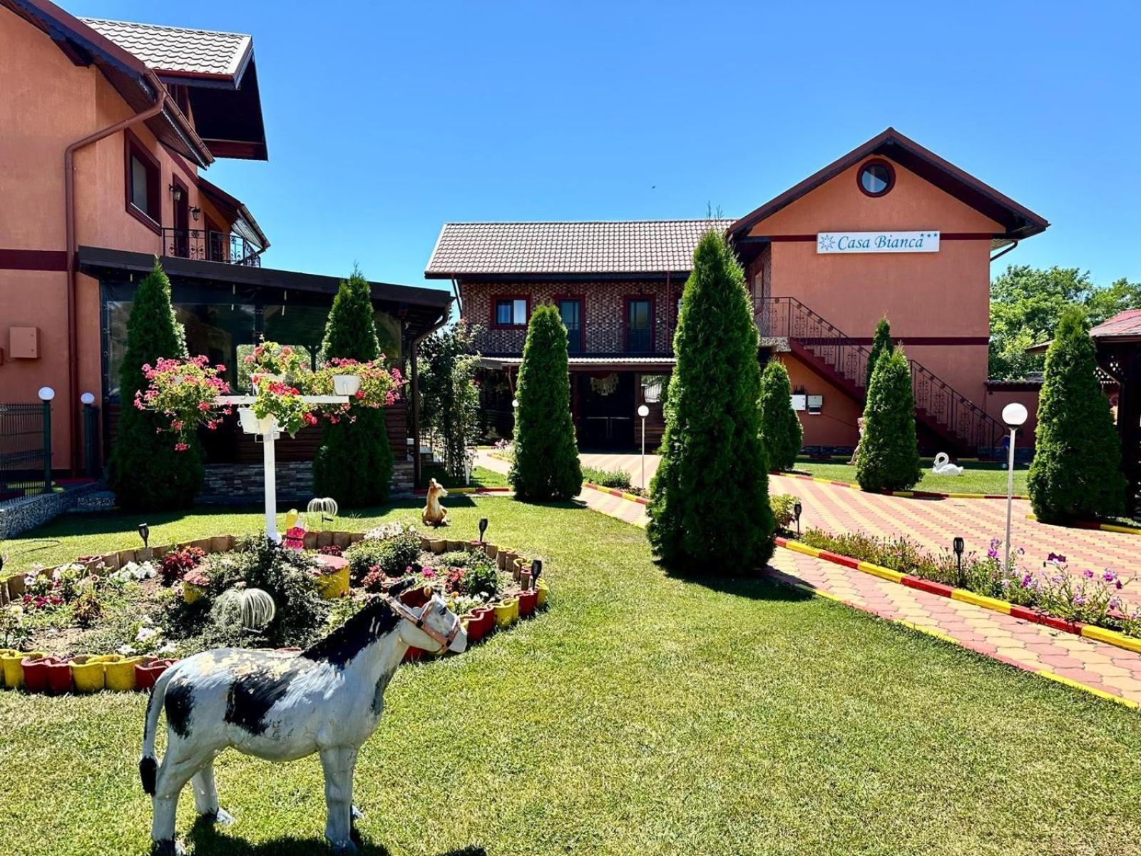Pensiunea Bianca Otel Corbu  Dış mekan fotoğraf